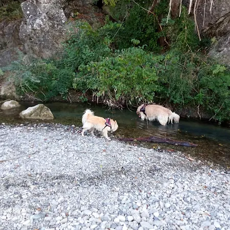 Le Rose E I Violini Nyaraló