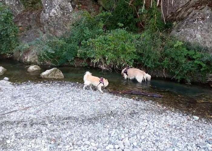 Le Rose E I Violini Nyaraló