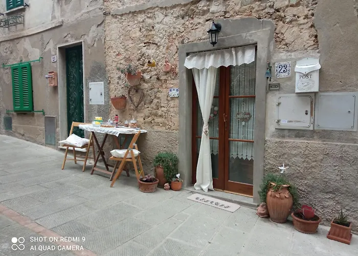 Le Rose E I Violini